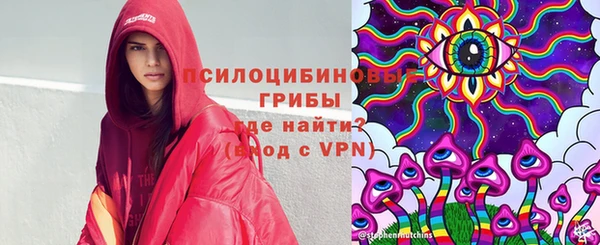 бошки Нефтегорск