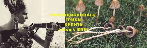 мет Надым