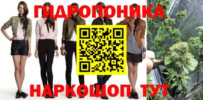 apvp Гусиноозёрск