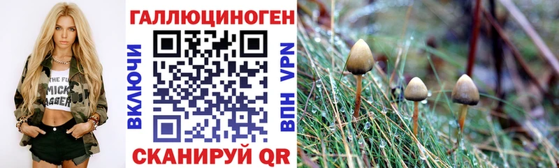 даркнет сайт  mega ТОР  Псилоцибиновые грибы GOLDEN TEACHER  Кингисепп 