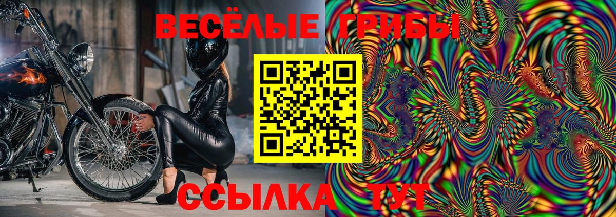 Псилоцибиновые грибы прущие грибы  Кингисепп 