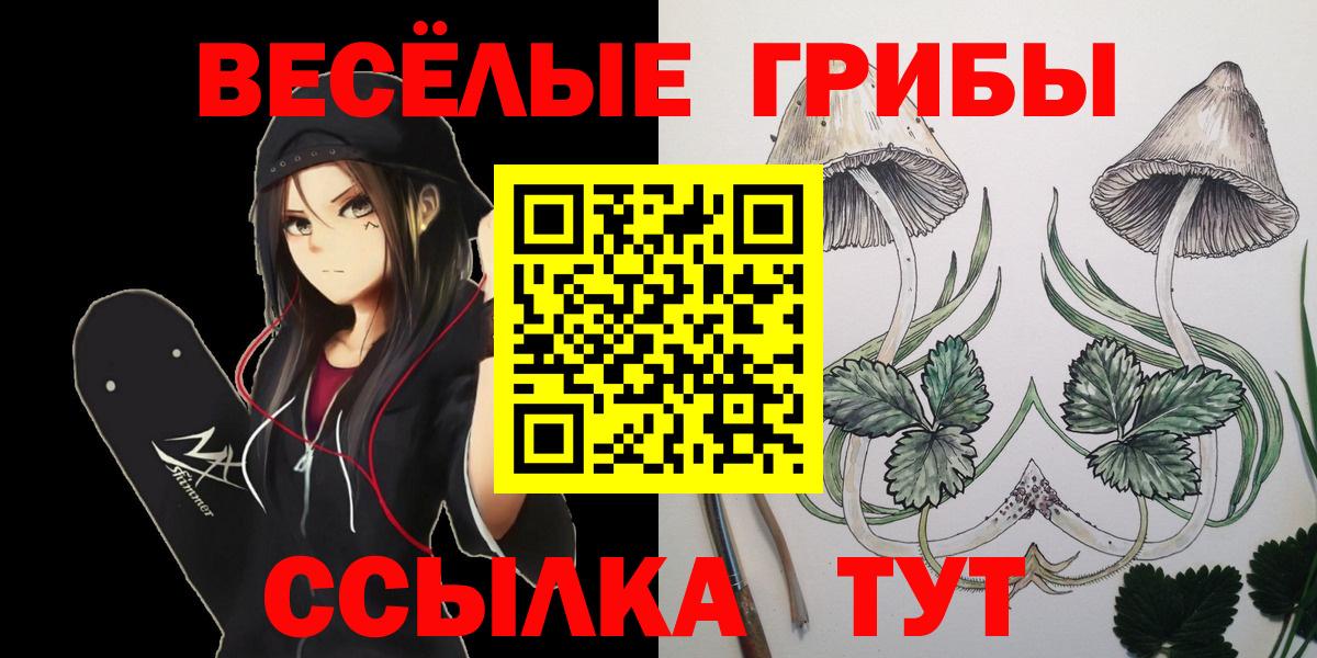 Псилоцибиновые грибы Psilocybe  Вход с VPN  Кингисепп  Псилоцибиновые грибы GOLDEN TEACHER 