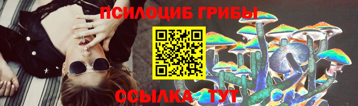 Галлюциногенные грибы ЛСД Кингисепп
