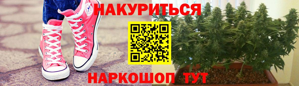 Канабис MAZAR  Конопля конопля  Шишки марихуана сатива  Кингисепп  Бошки марихуана марихуана 